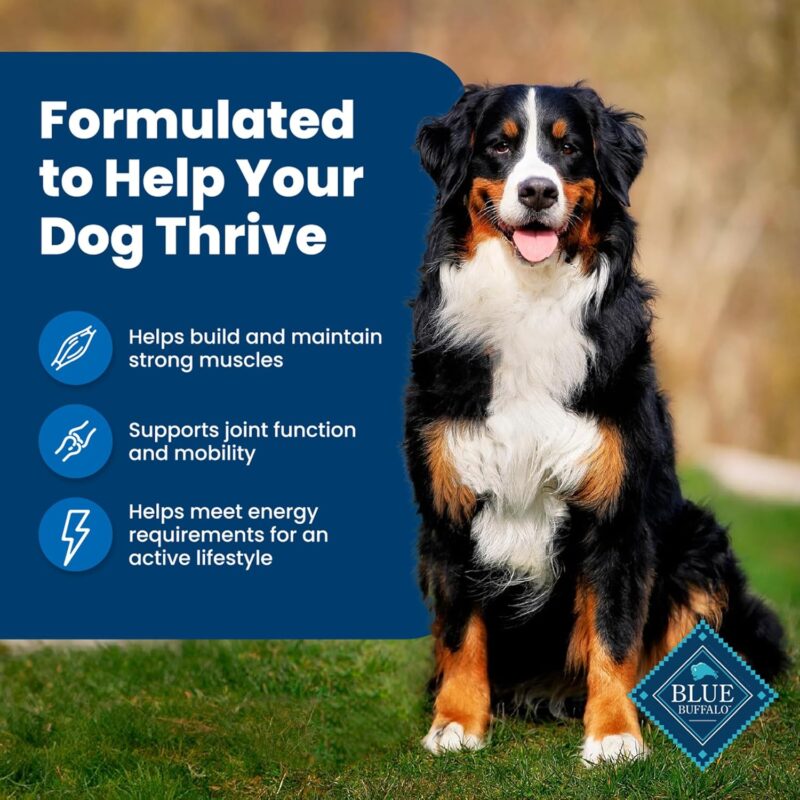 Blue Buffalo Life Protection: A Nutritious Choice for Your Dog!