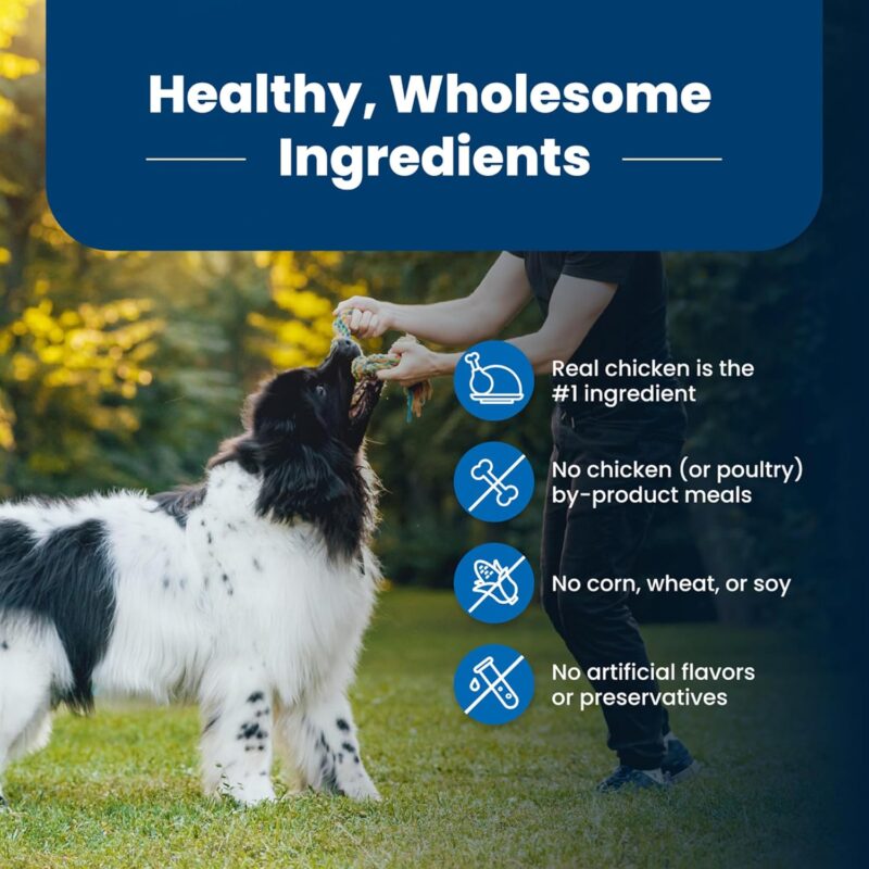 Blue Buffalo Life Protection: A Nutritious Choice for Your Dog!