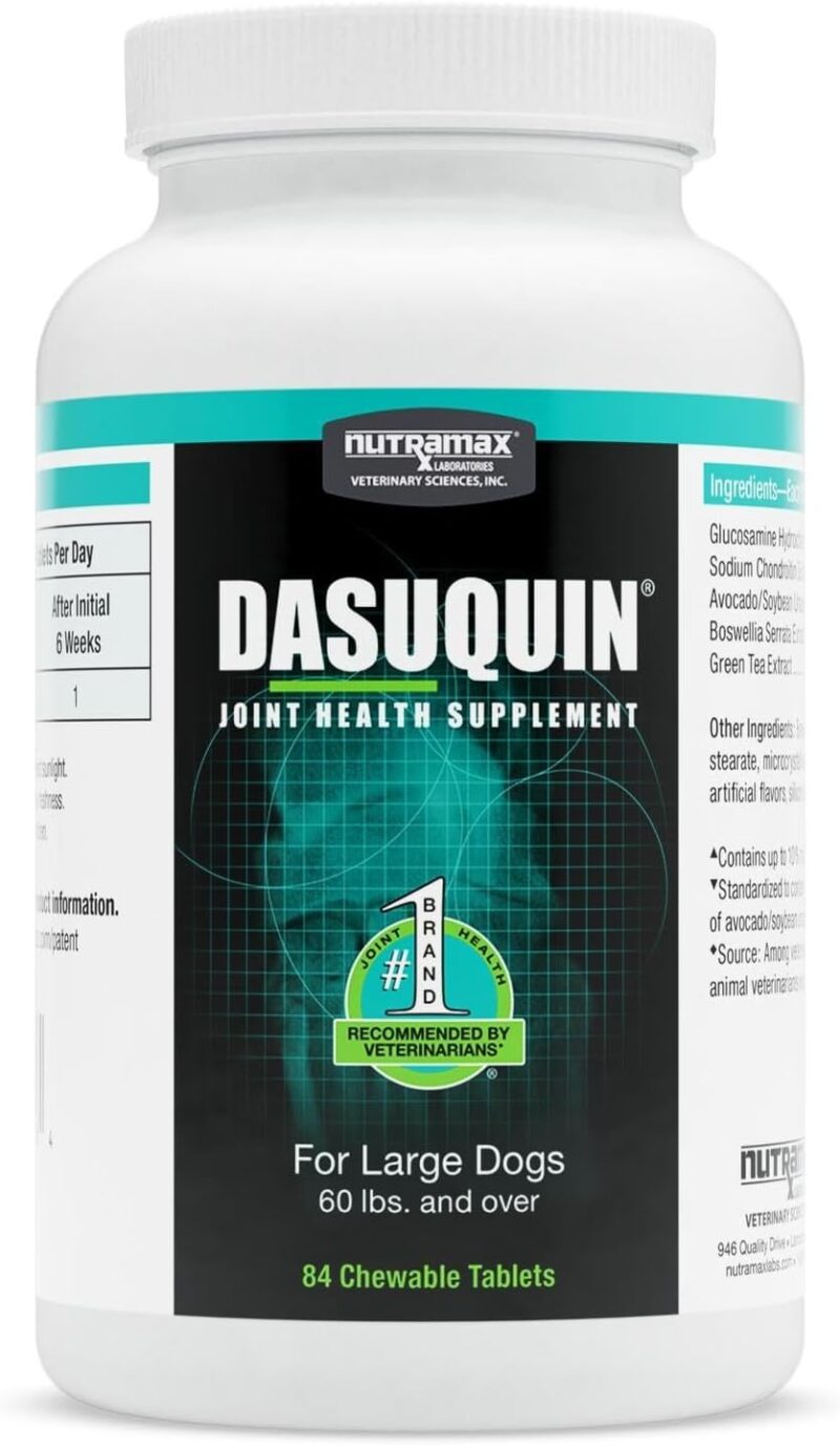 Dasuquin with MSM: A Powerhouse Joint Supplement for Large Dogs