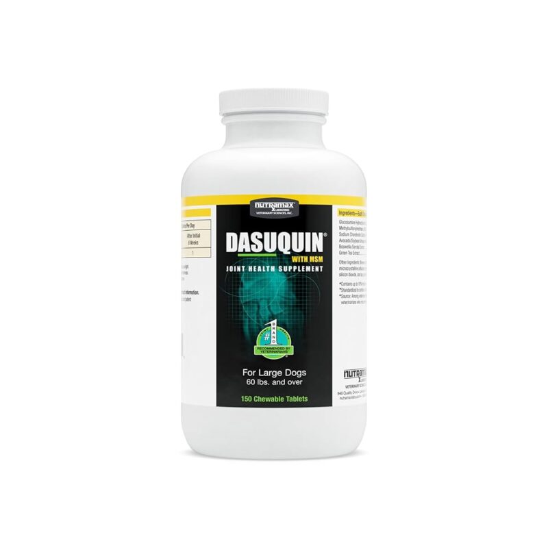 Dasuquin with MSM: A Powerhouse Joint Supplement for Large Dogs