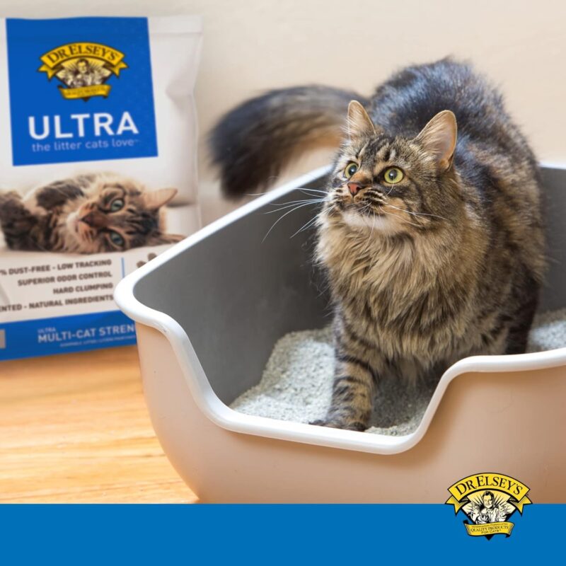 Dr. Elsey's Premium Unscented Cat Litter: A Game Changer for Multi-Cat Homes!