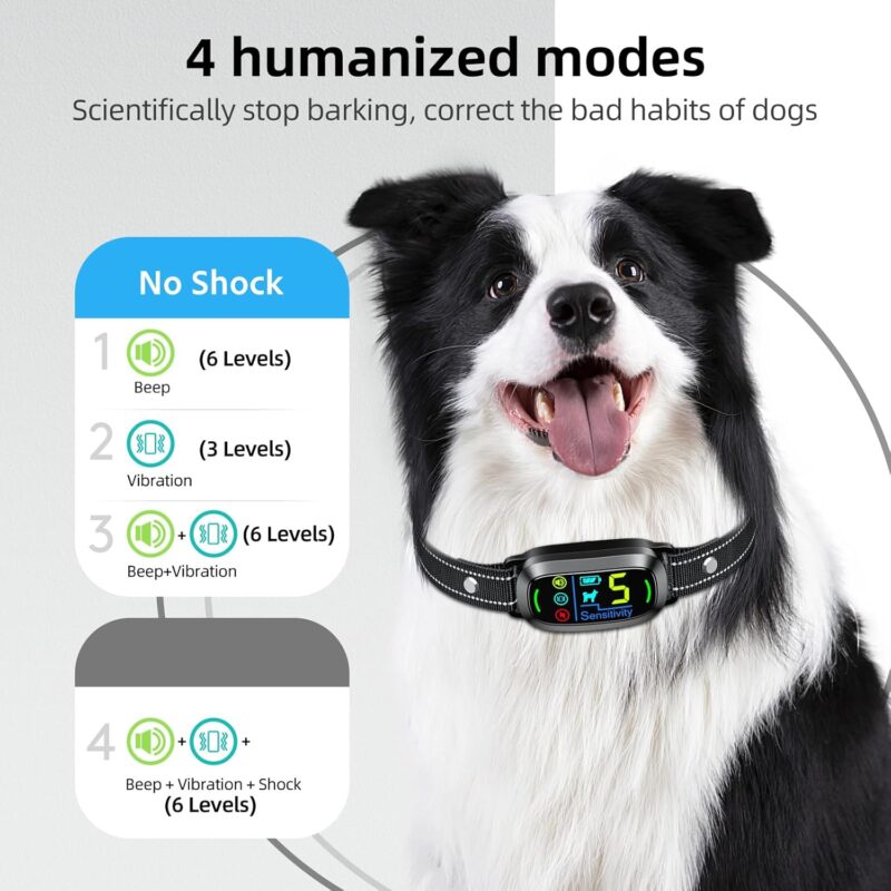 Effective Training: Review of the Rechargeable Smart Dog Bark Collar