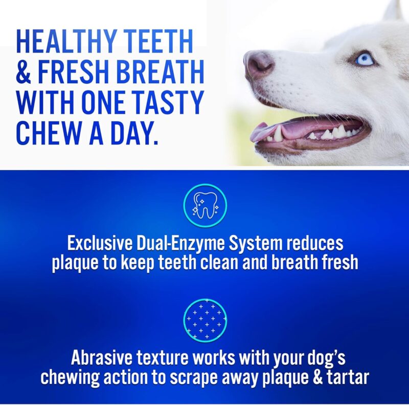 Fresh Breath and Healthy Teeth: Review of Virbac C.E.T. Enzymatic Chews for Dogs