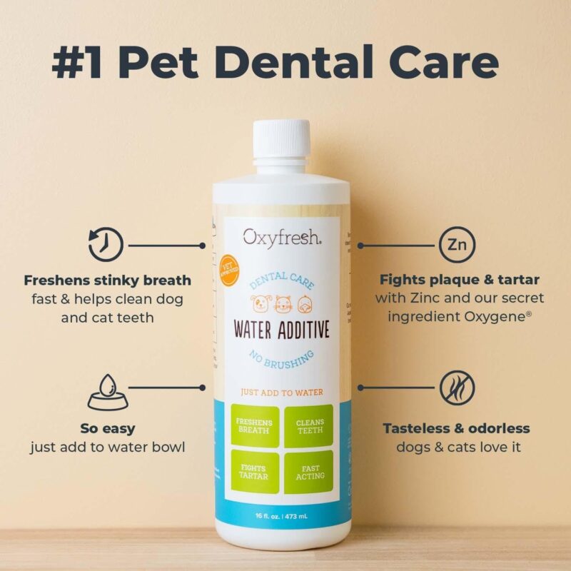 Fresh Breath Made Easy: Oxyfresh Pet Dental Water Additive Review