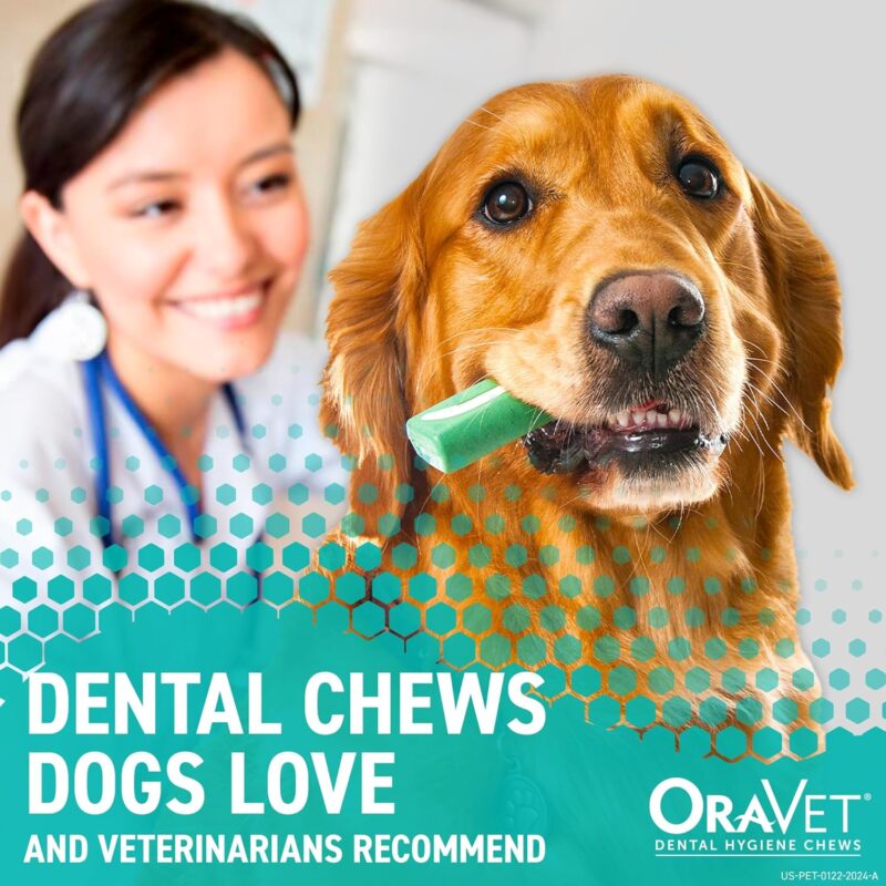 Fresh Smiles: Reviewing ORAVET Dental Chews for Small Dogs!