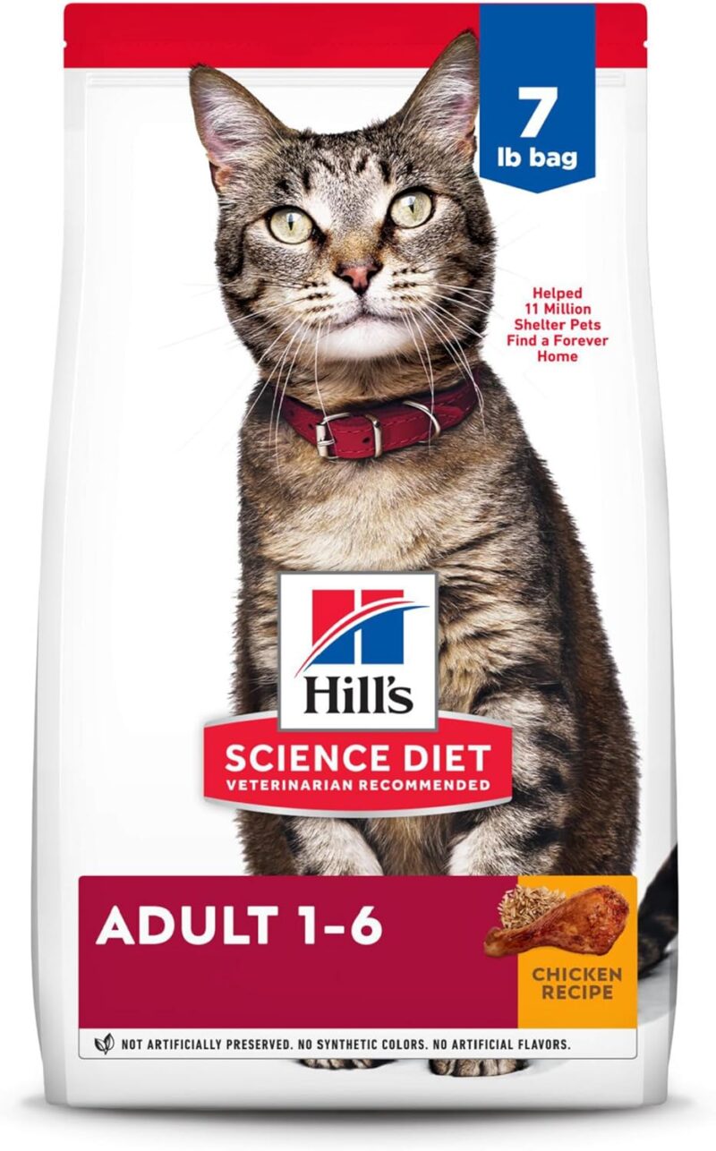 Hill's Science Diet Adult Cat Food Review: Premium Nutrition for Healthy Cats