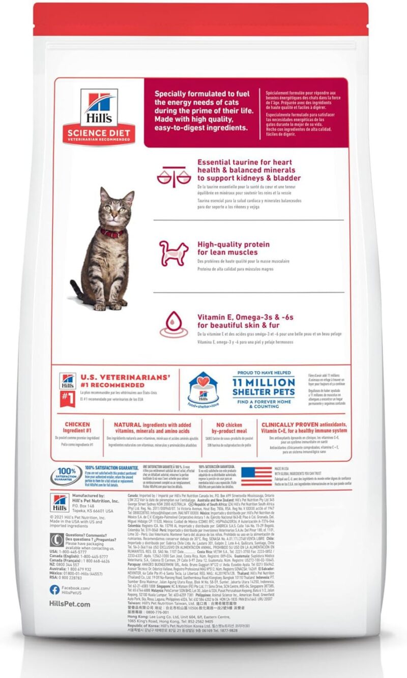 Hill's Science Diet Adult Cat Food Review: Premium Nutrition for Healthy Cats