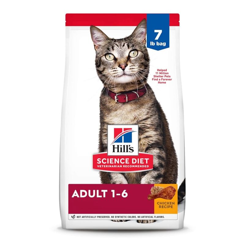 Hill's Science Diet Adult Cat Food Review: Premium Nutrition for Healthy Cats