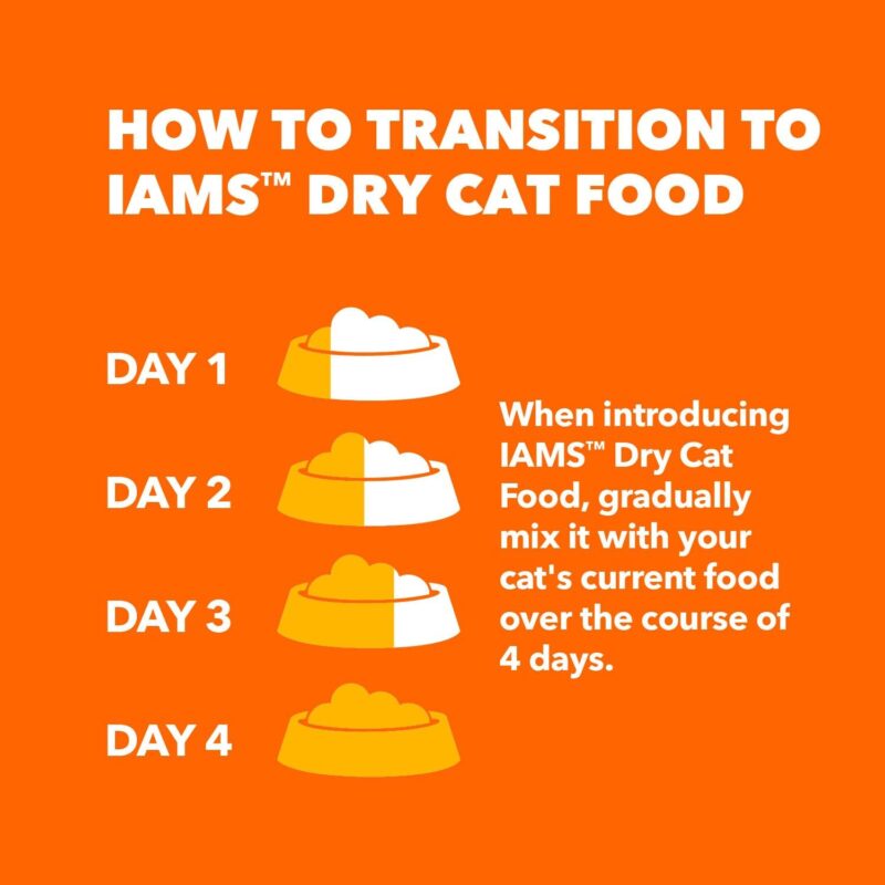 IAMS PROACTIVE HEALTH: The Ultimate Solution for Indoor Cats