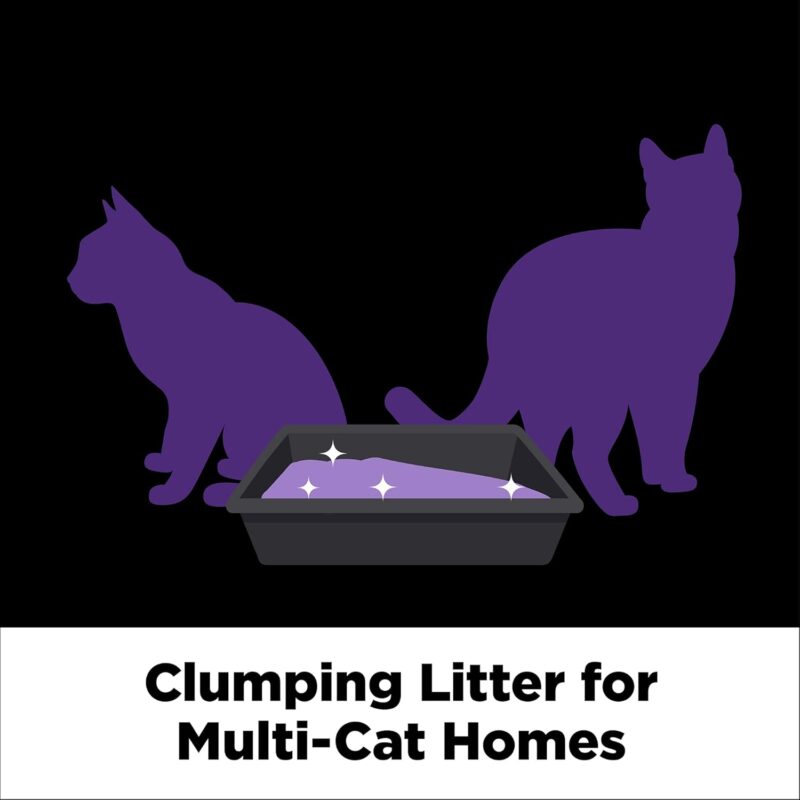 Review of Arm & Hammer Platinum SLIDE Multi-Cat Litter