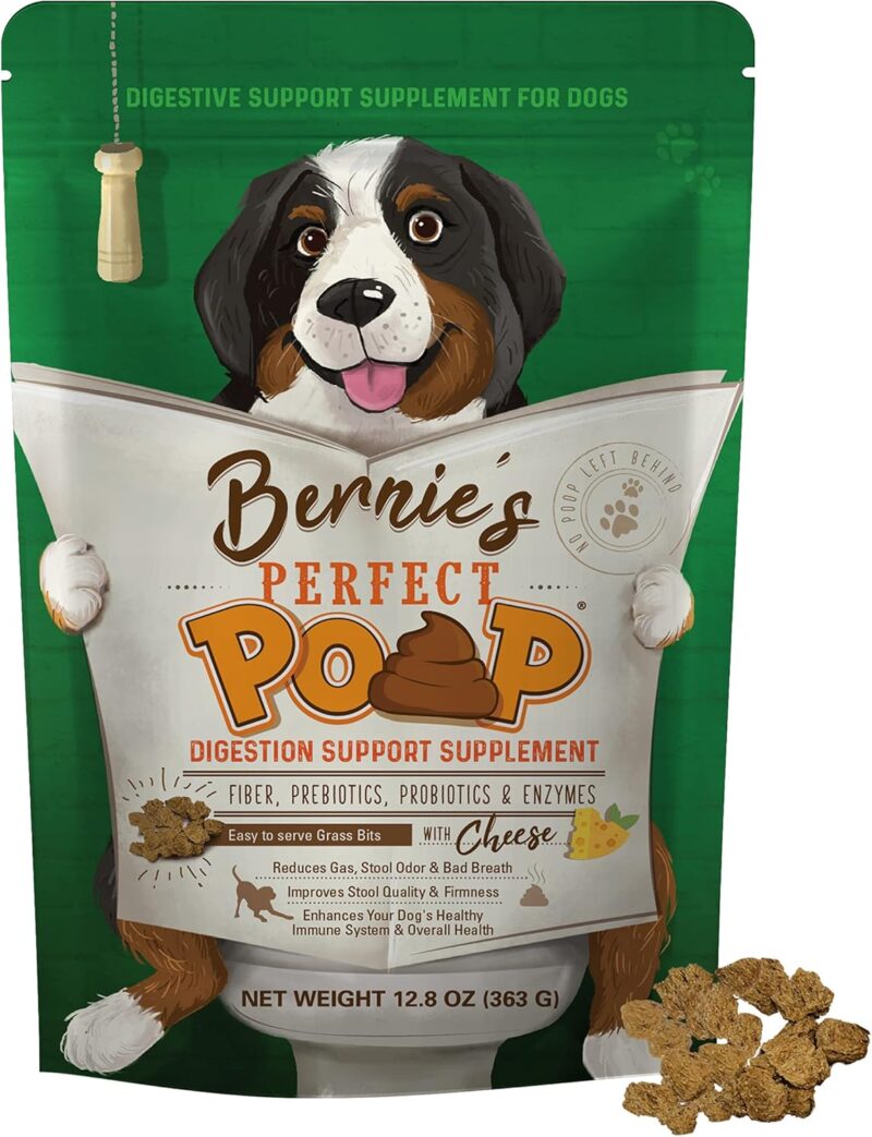 Transform Your Dog's Digestion: A Review of the Perfect Poop Supplement