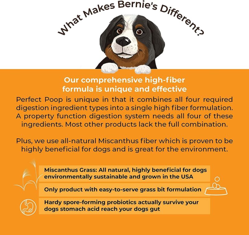 Transform Your Dog's Digestion: A Review of the Perfect Poop Supplement