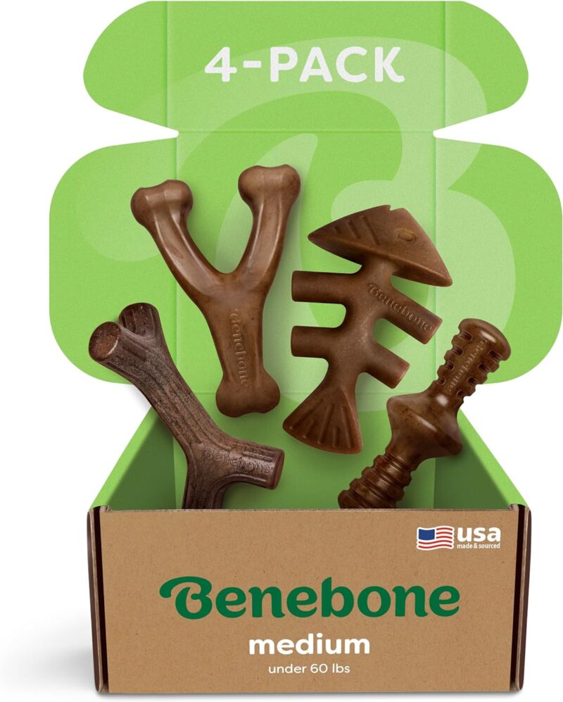 Ultimate Chew Challenge: Benebone Medium 4-Pack Review for Aggressive Chewers