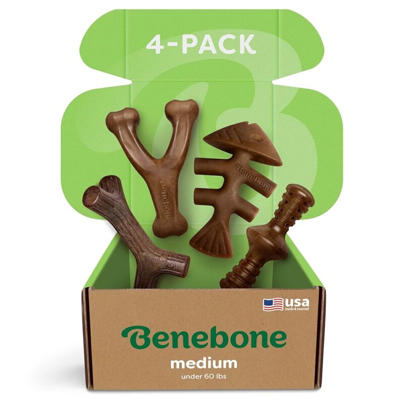 Ultimate Chew Challenge: Benebone Medium 4-Pack Review for Aggressive Chewers