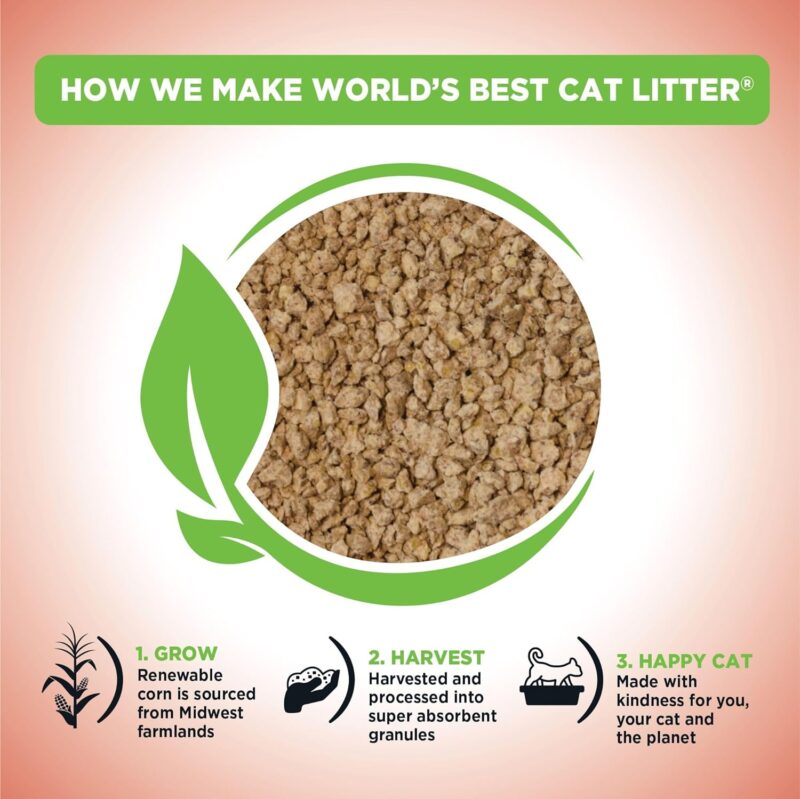 Ultimate Review: World's Best Cat Litter for Multi-Cat Homes