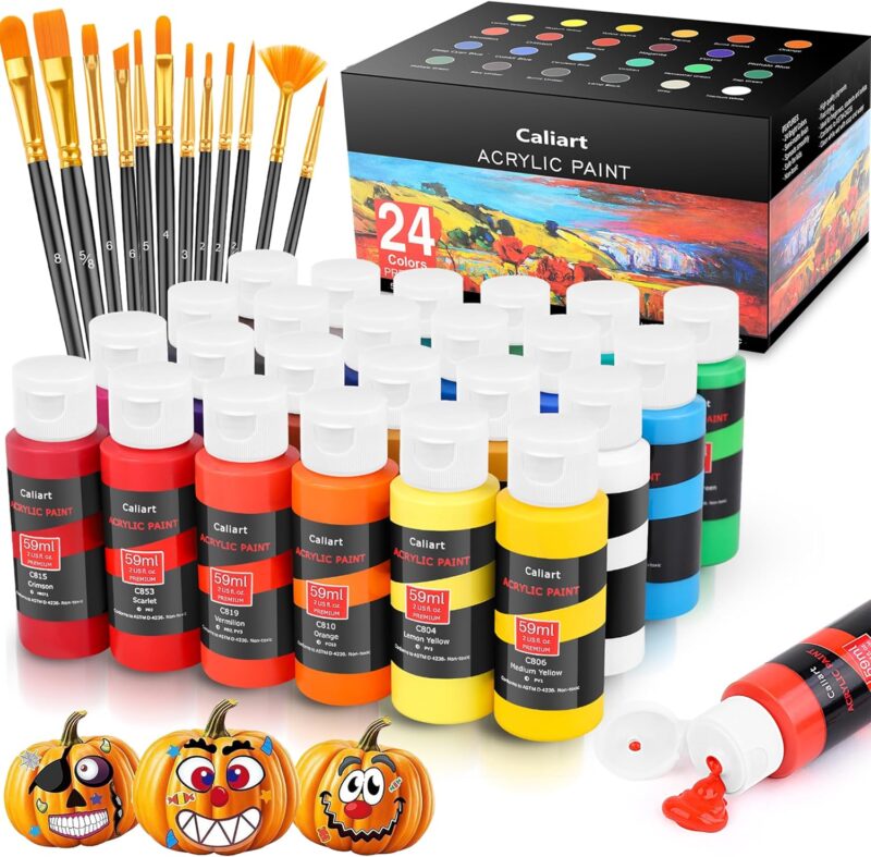 Vibrant Acrylic Paint Set: Perfect for All Levels of Creativity!