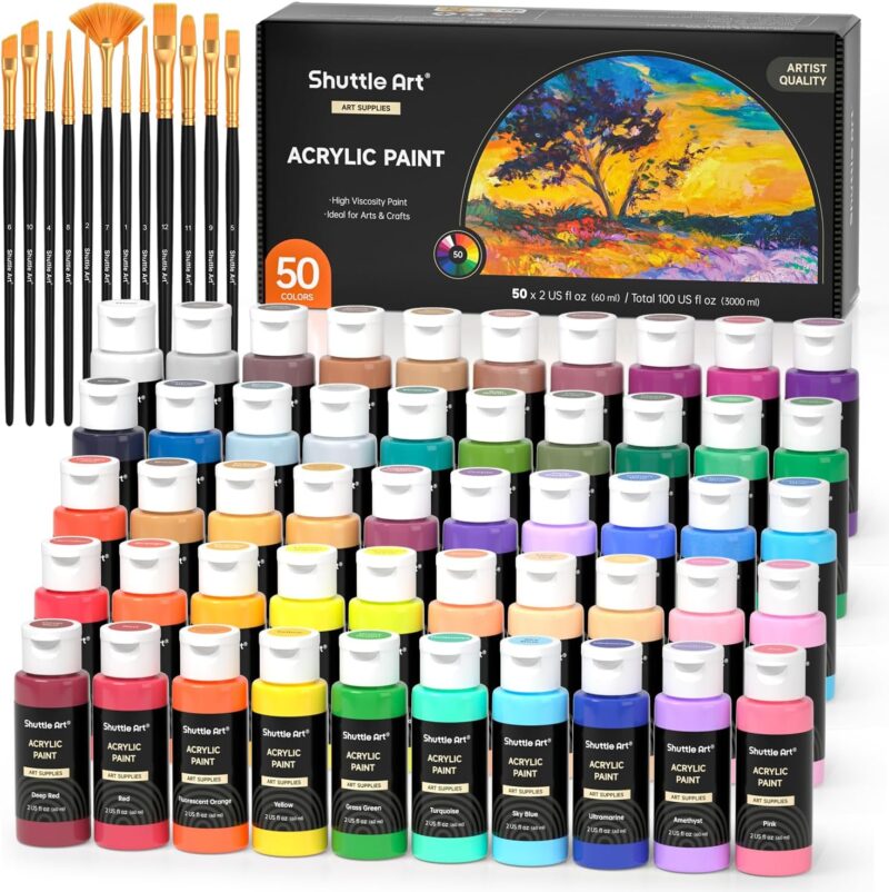 Vibrant Creativity: Reviewing Shuttle Art's 50-Color Acrylic Paint Set