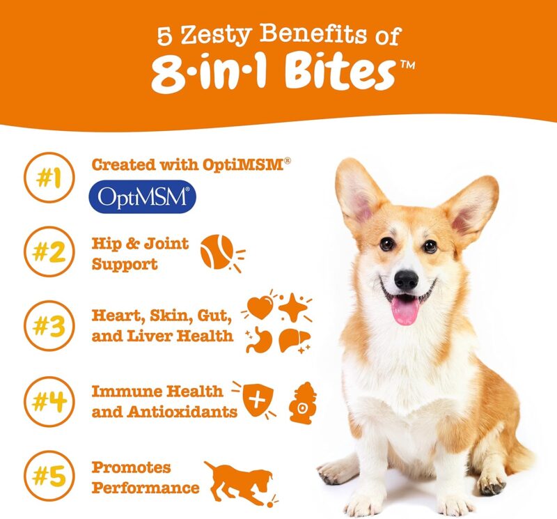 Zesty Paws Dog Multivitamin: Essential Chewable Support for Healthy Hips, Joints, Skin, and Coat!