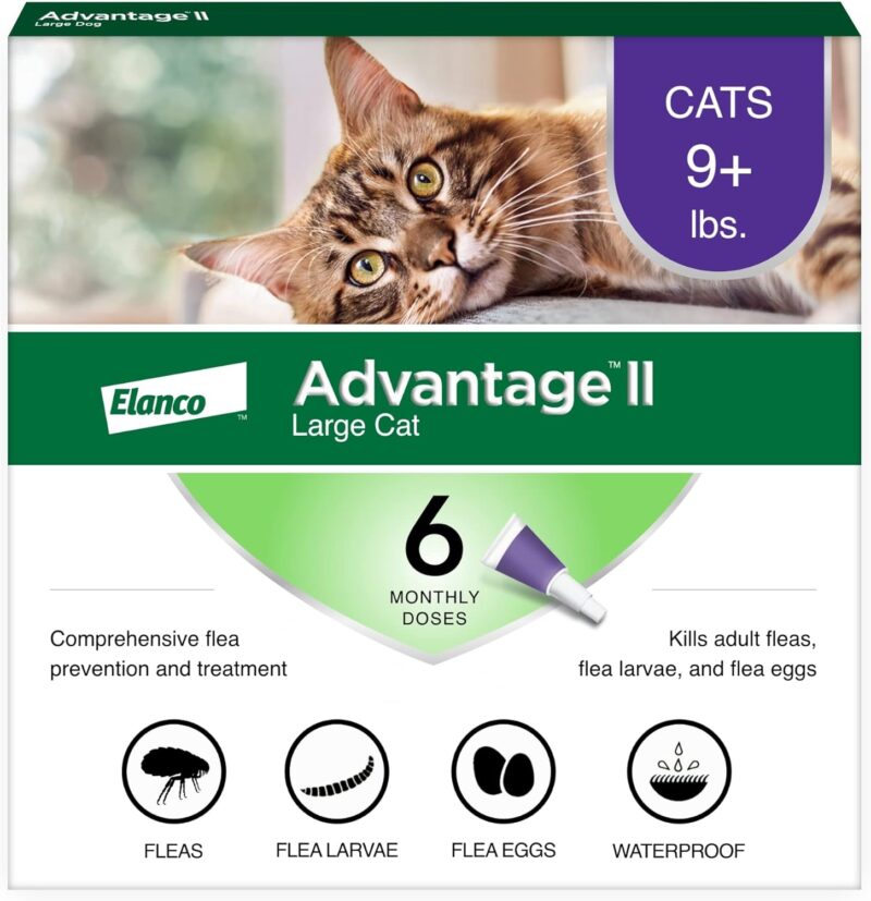 Advantage II for Cats: Effective Flea Treatment & Prevention Review