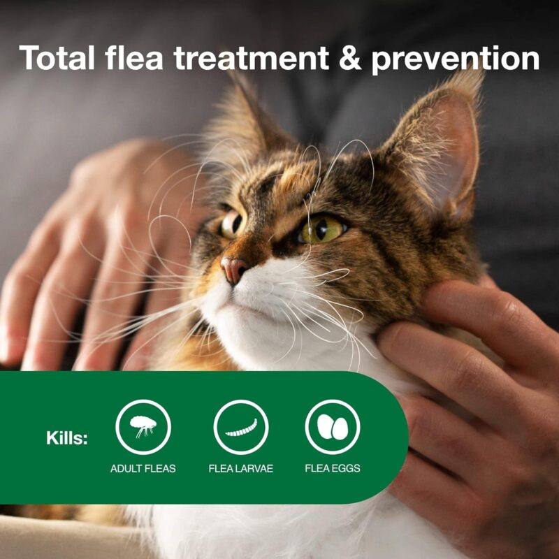 Advantage II for Cats: Effective Flea Treatment & Prevention Review