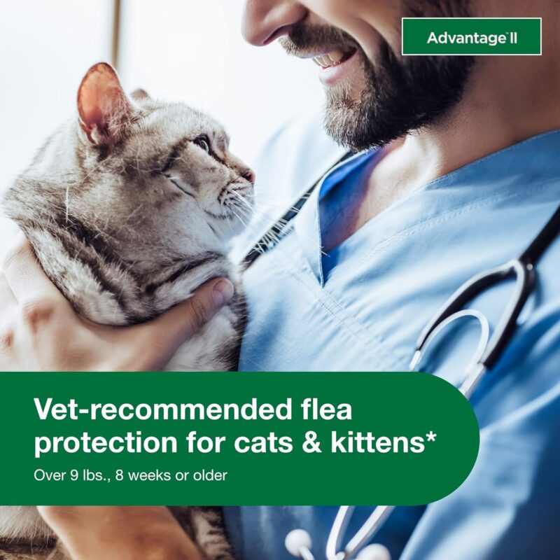 Advantage II for Cats: Effective Flea Treatment & Prevention Review