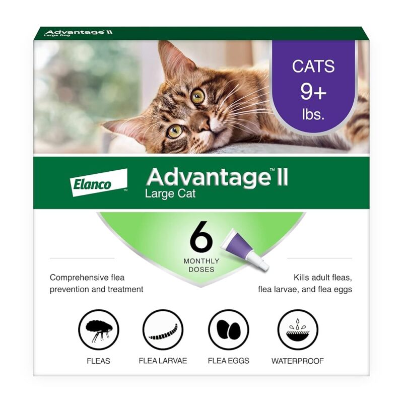 Advantage II for Cats: Effective Flea Treatment & Prevention Review