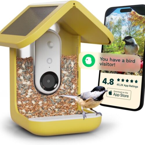 Bird Buddy Solar Feeder: Smart AI Birdwatching Revolution