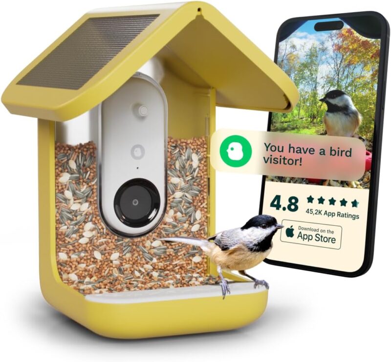 Bird Buddy Solar Feeder: Smart AI Birdwatching Revolution