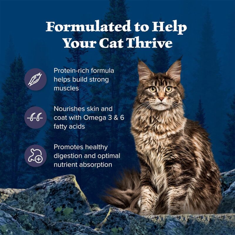 Blue Buffalo Wilderness: A High-Protein Diet for Healthy Cats