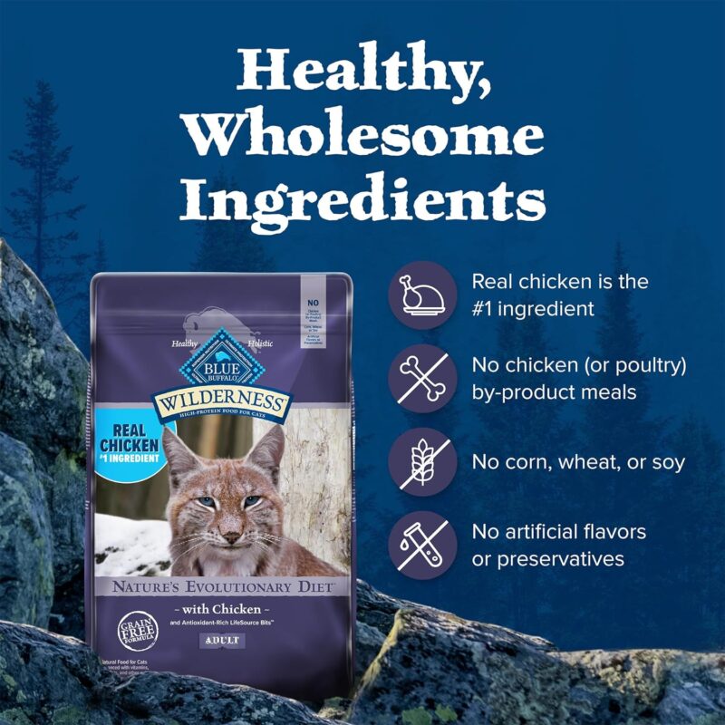 Blue Buffalo Wilderness: A High-Protein Diet for Healthy Cats