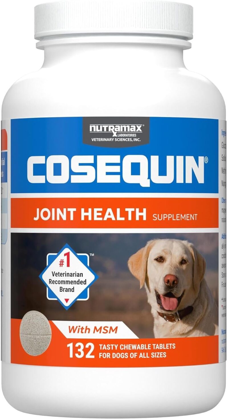 Boost Your Dog’s Joint Health: A Review of Cosequin Maximum Strength