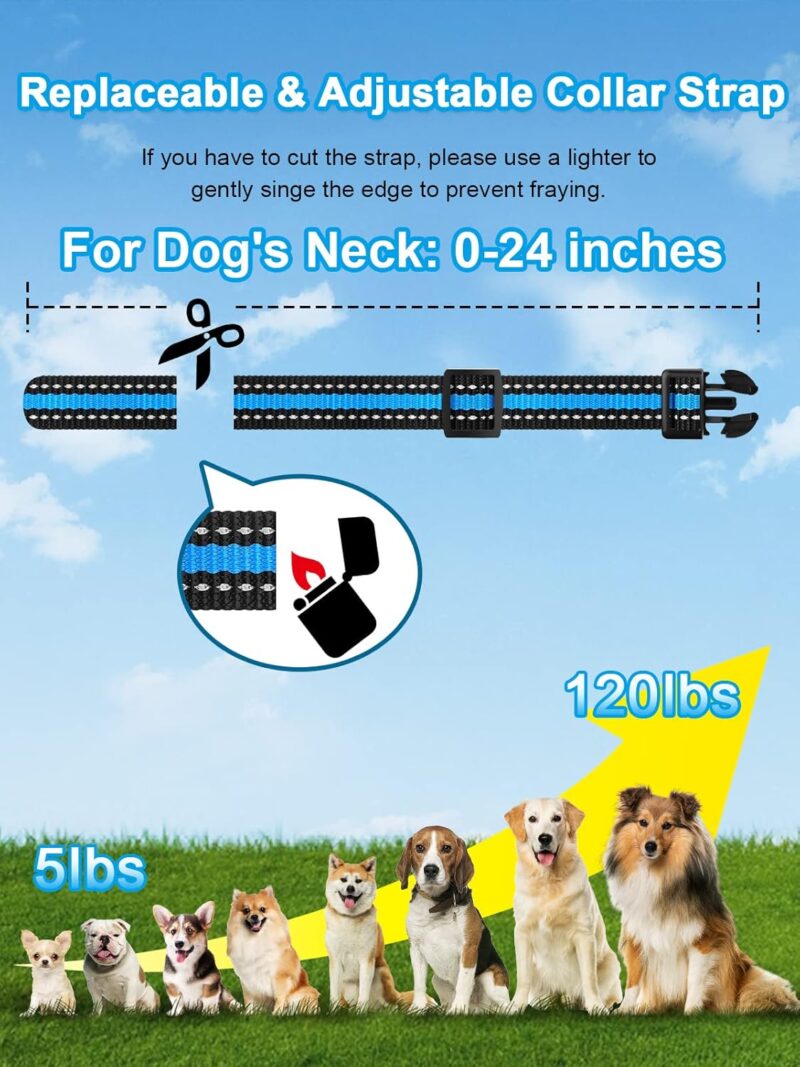 Comprehensive Review of BOUSNIC Dog Shock Collar for Effective Training