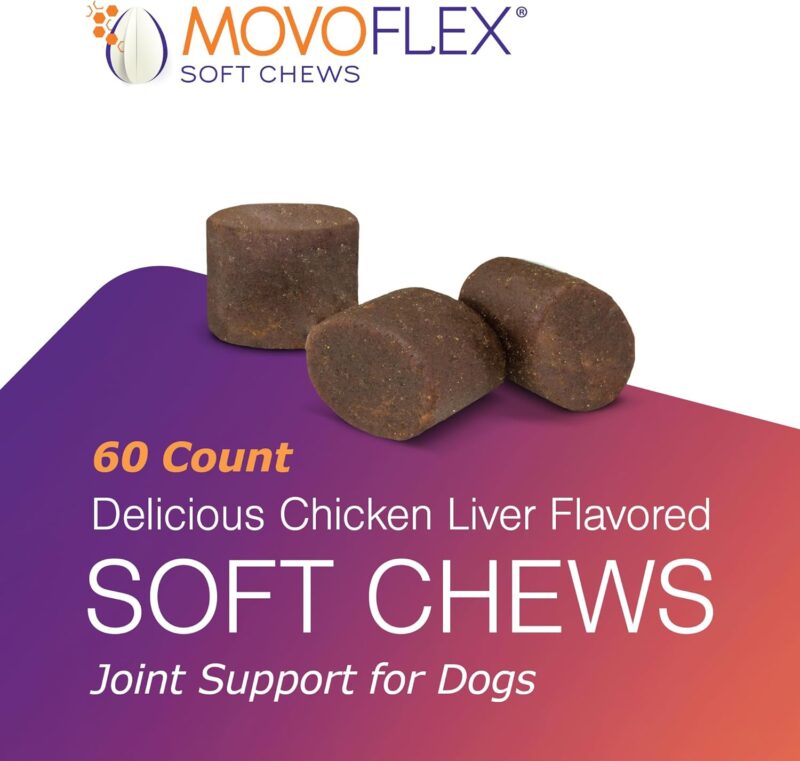 Effective Hip and Joint Support for Large Dogs: A Review of Virbac's Chews