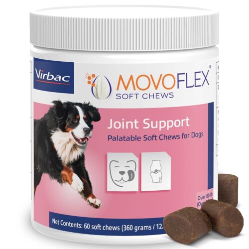 Effective Hip and Joint Support for Large Dogs: A Review of Virbac's Chews