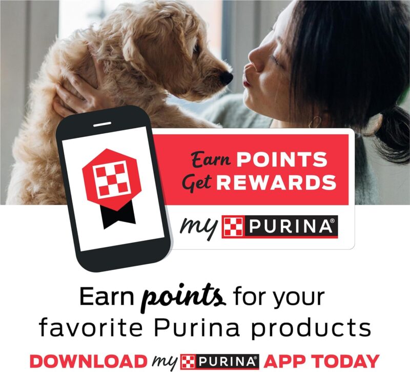 Enhancing Canine Health: A Review of Purina Pro Plan FortiFlora