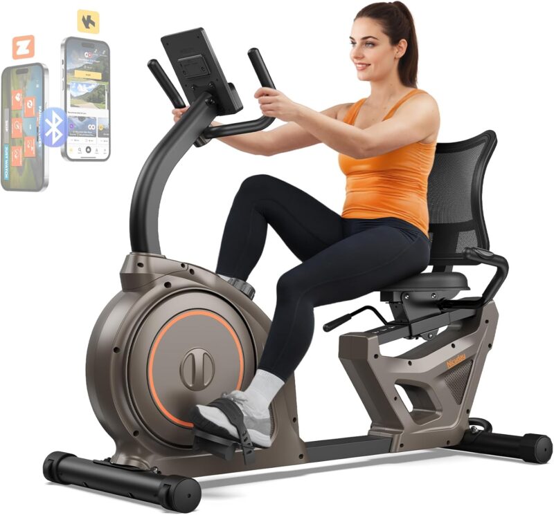 Niceday Magnetic Recumbent Exercise Bike