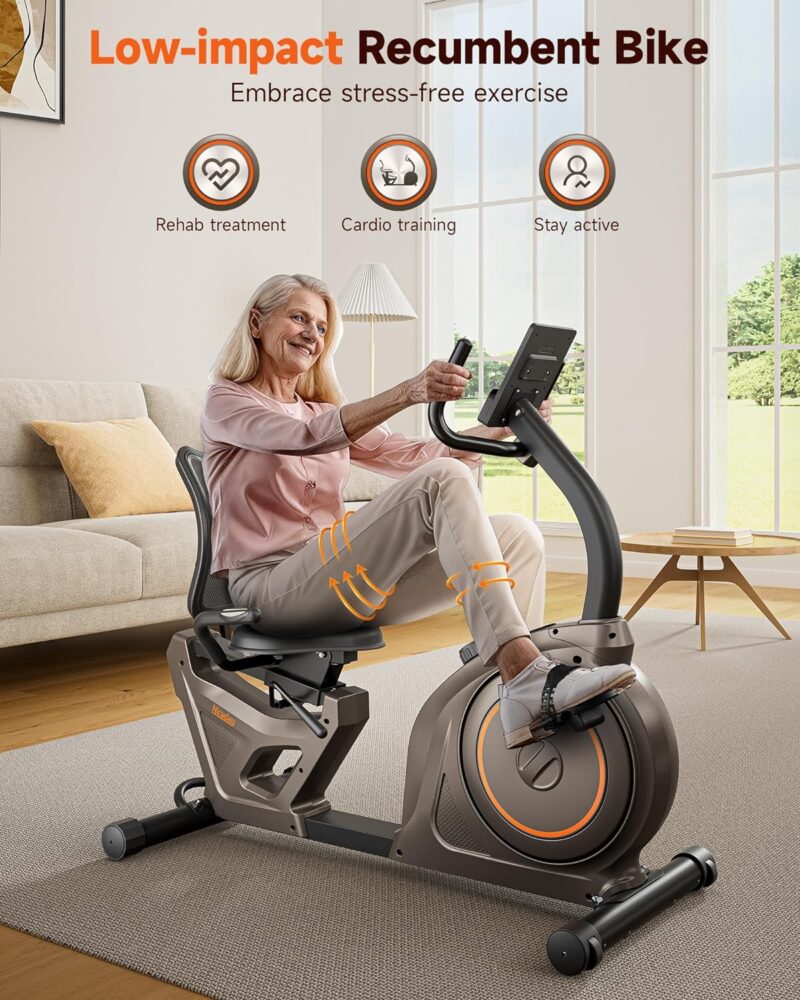 Niceday Magnetic Recumbent Exercise Bike