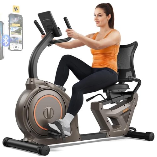 Niceday Magnetic Recumbent Exercise Bike