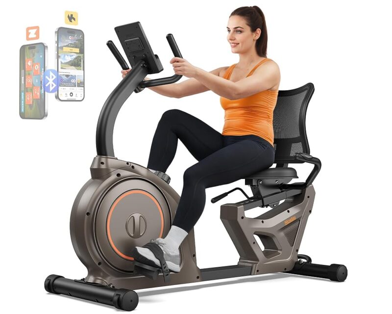 Niceday Magnetic Recumbent Exercise Bike