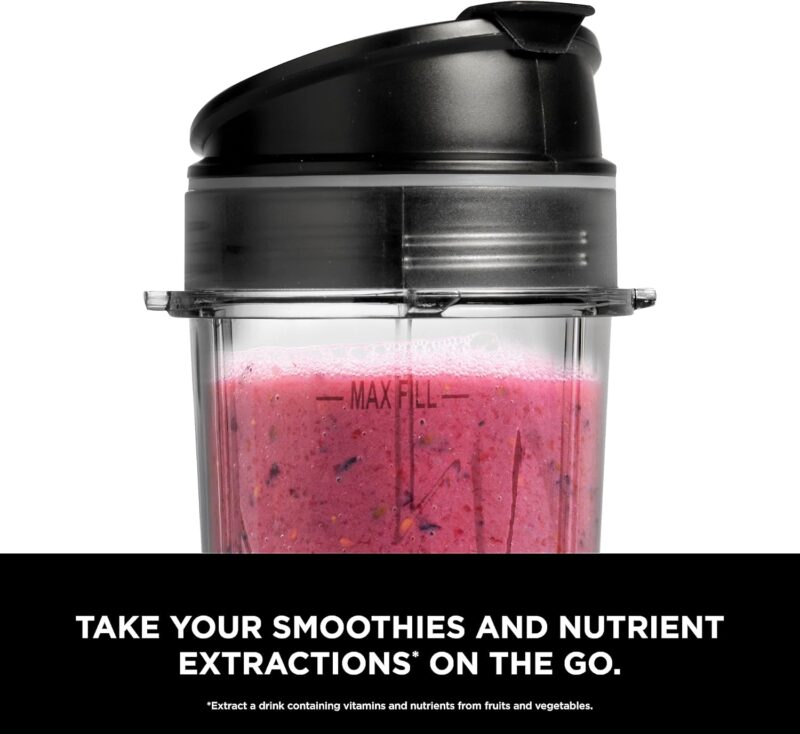 Ninja Fit Compact Portable Blender, 700W