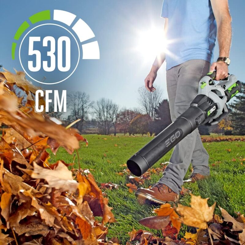 Powerful Performance: EGO Power+ LB5302 Cordless Leaf Blower Review