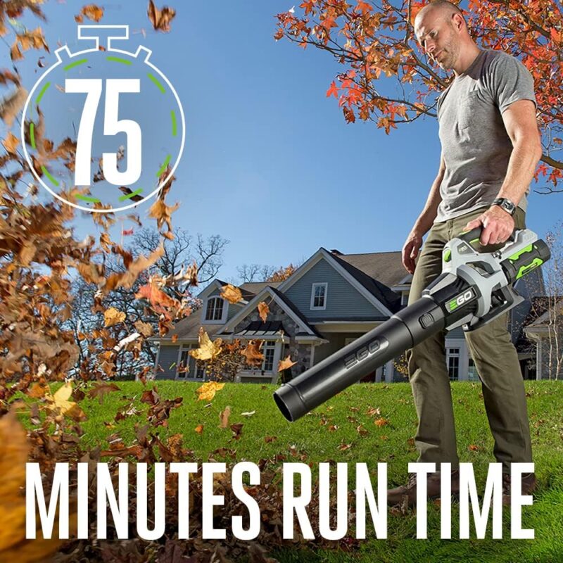 Powerful Performance: EGO Power+ LB5302 Cordless Leaf Blower Review