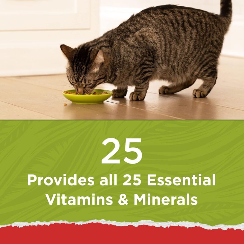 Purina Cat Chow Naturals: A Nutrient-Rich Choice for Cats