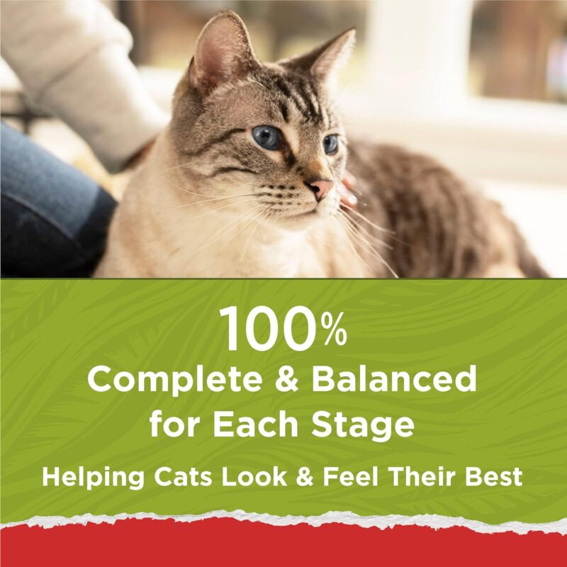 Purina Cat Chow Naturals: A Nutrient-Rich Choice for Cats