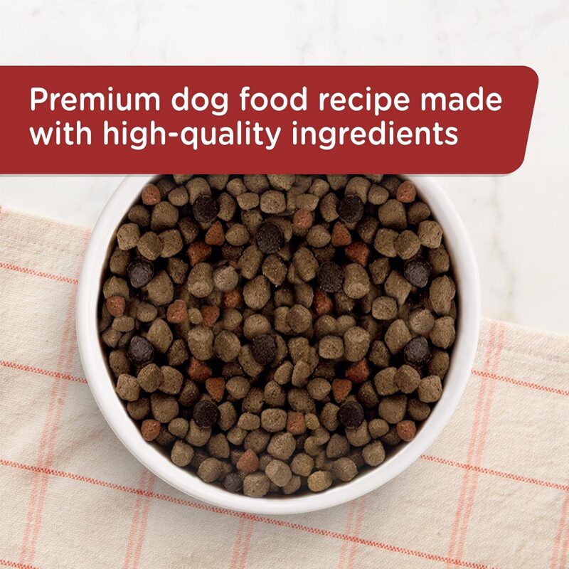 Rachael Ray Nutrish: A Premium Review of Real Beef Dog Food