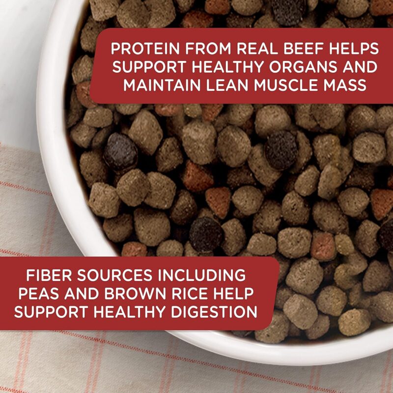 Rachael Ray Nutrish: A Premium Review of Real Beef Dog Food