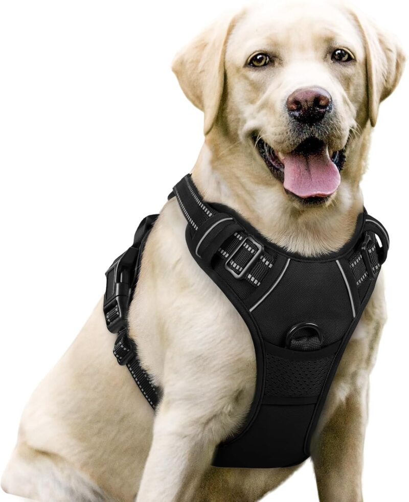 Reviewing the Rabbitgoo No-Pull Dog Harness: Comfort and Control