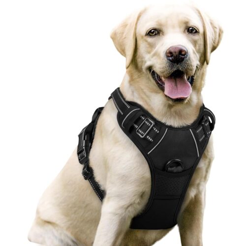 Reviewing the Rabbitgoo No-Pull Dog Harness: Comfort and Control