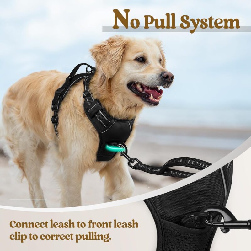 Reviewing the Rabbitgoo No-Pull Dog Harness: Comfort and Control