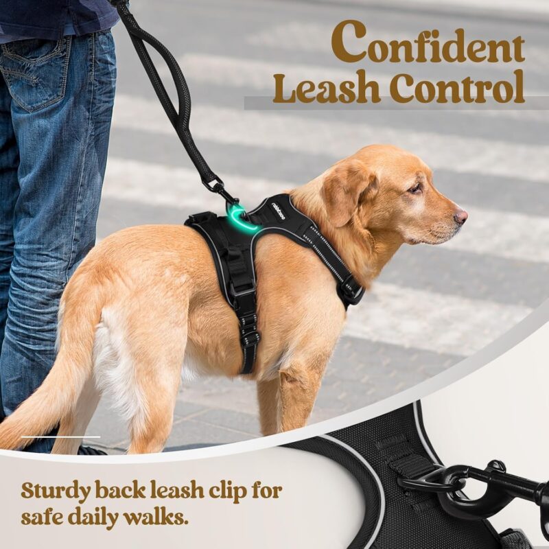 Reviewing the Rabbitgoo No-Pull Dog Harness: Comfort and Control